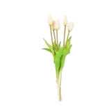 Mazzo di Tulipani foto
