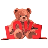 Love Bear foto