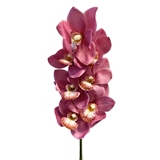 Orchidee Rosa foto