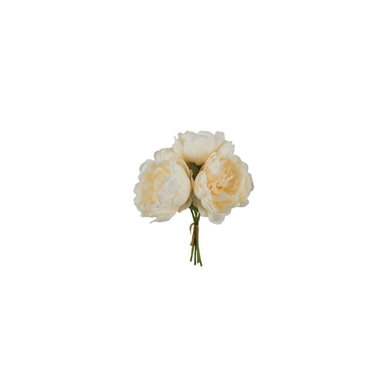 Bouquet  Peonia