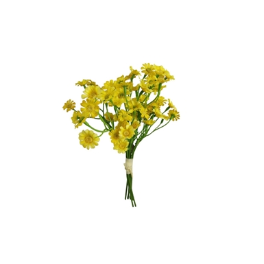 Camomilla bouquet