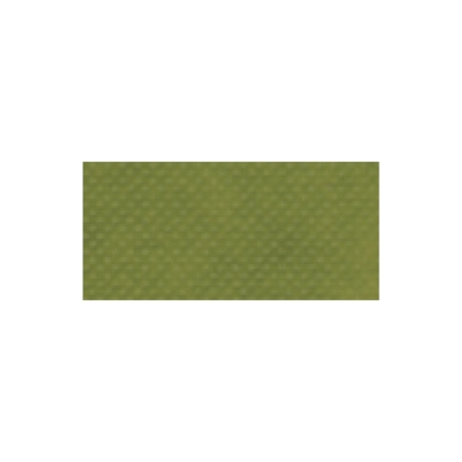 Immagini/shopper_01166_nastro_verdes