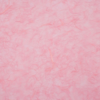Immagini/shoppercenter_00931_bobina_carta_riso_rosa