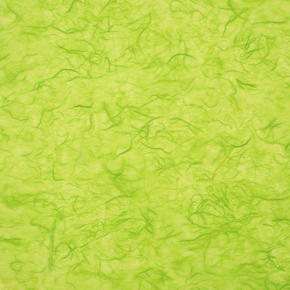 Immagini/shoppercenter_00931_bobina_riso_verde_c
