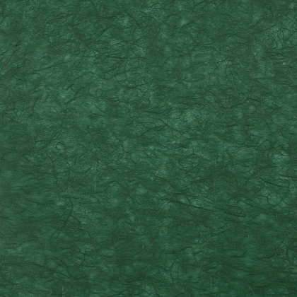 Immagini/shoppercenter_00931_bobina_riso_verde_s