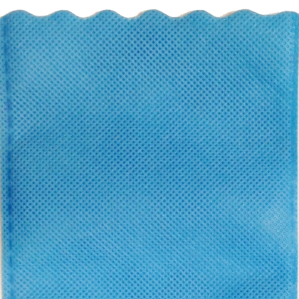 Immagini/shoppercenter_01037_buste_tnt_azzurro