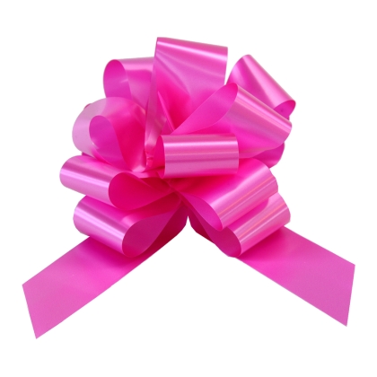 Immagini/shoppercenter_01056_coccarda_fucsia