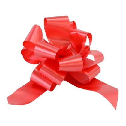 Immagini/shoppercenter_01056_coccarda_rosso