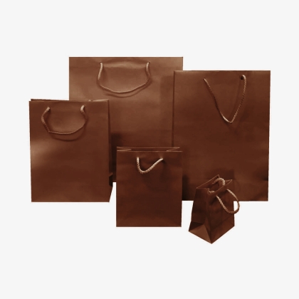 Immagini/shoppercenter_01089_shopper_marrone