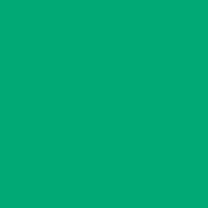 Immagini/shoppercenter_01150_carta_verde