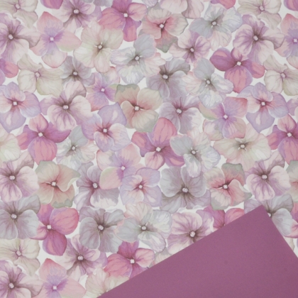 Immagini/shoppercenter_03915_rosa