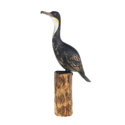 shoppercenter_04461_tucanook