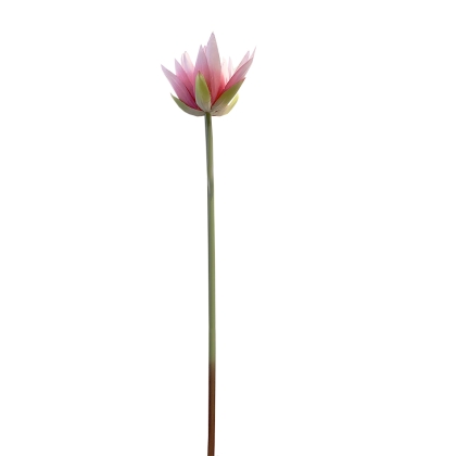 Immagini/shoppercenter_04596_fiore