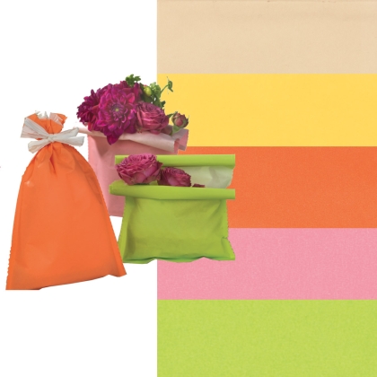 Immagini/shoppercenter_04986_buste