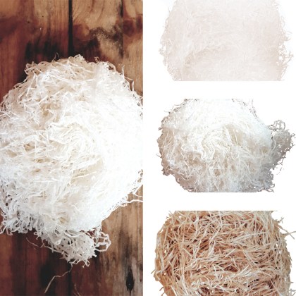 shoppercenter_05178_paglietta