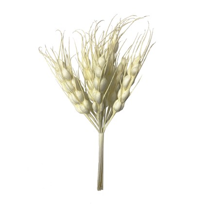 shoppercenter_05455_spiga