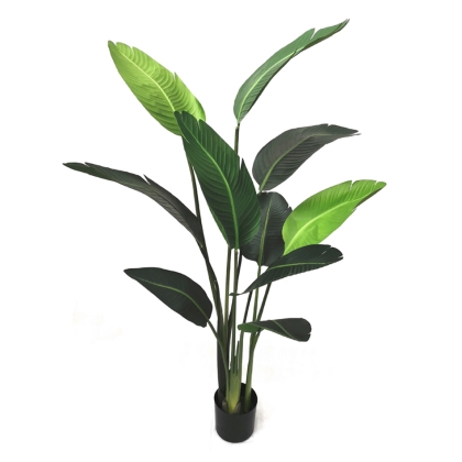 Immagini/shoppercenter_05725_pianta