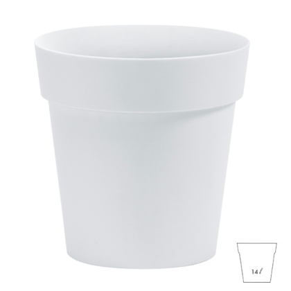 Immagini/shoppercenter_05807_vasok