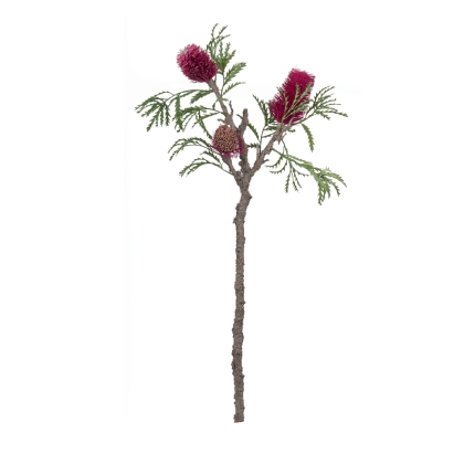Immagini/shoppercenter_05862_fiore