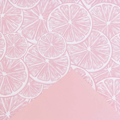 shoppercenter_06564_rosa