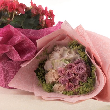 shoppercenter_06657_bobina