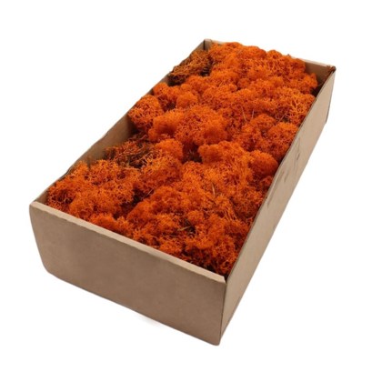 shoppercenter_07110_muschiook