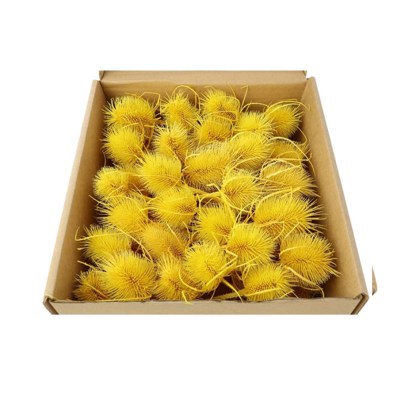 shoppercenter_07118_fioreok