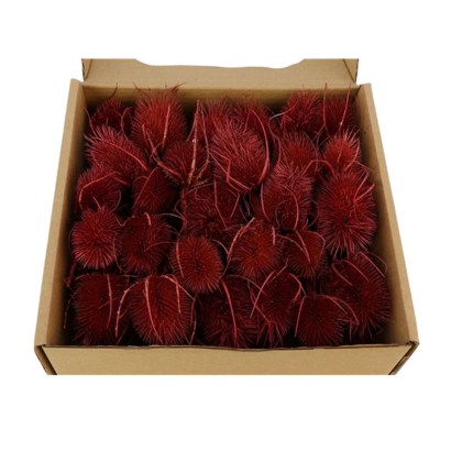 shoppercenter_07120_fioreok