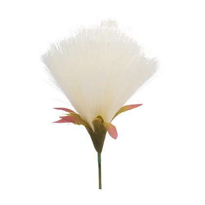 shoppercenter_07327_decook