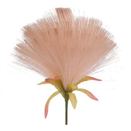 shoppercenter_07329_decook