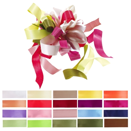Immagini/shoppercenter_0745_nastrotaffeta