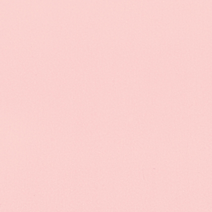 Immagini/shoppercenter_08091_buste_rosa