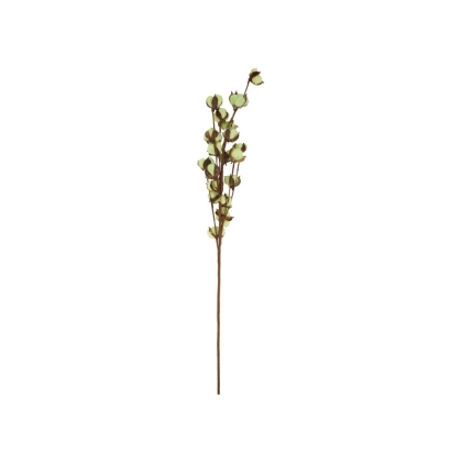 Immagini/shoppercenter_08322_fiore