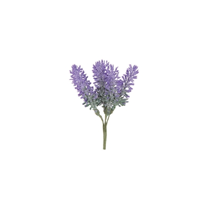 shoppercenter_09378_lavanda.jpg