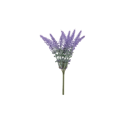 shoppercenter_09379_lavanda.jpg