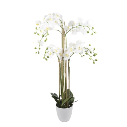 Immagini/shoppercenter_09393_fiore