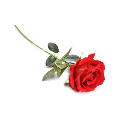 Immagini/shoppercenter_09410_rosa