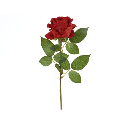 Immagini/shoppercenter_09411_rosa