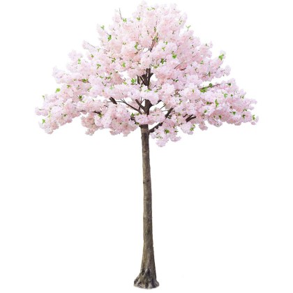 shoppercenter_09443_albero