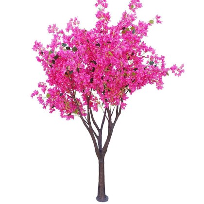 shoppercenter_09473_albero