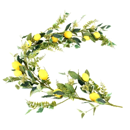 Immagini/shoppercenter_09485_limone