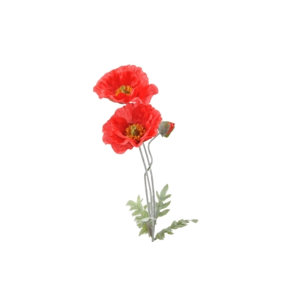 Immagini/shoppercenter_09520_fiore