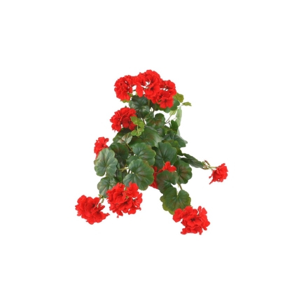 Immagini/shoppercenter_09522_fiore