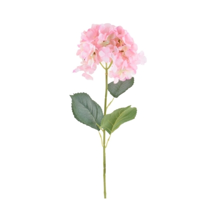 Immagini/shoppercenter_09526_fiore