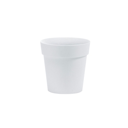 Immagini/shoppercenter_09550_vaso