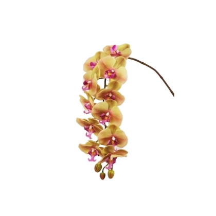 Immagini/shoppercenter_09579_fiore