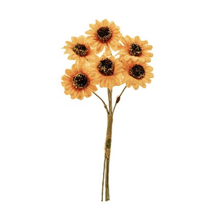 shoppercenter_09622_decook