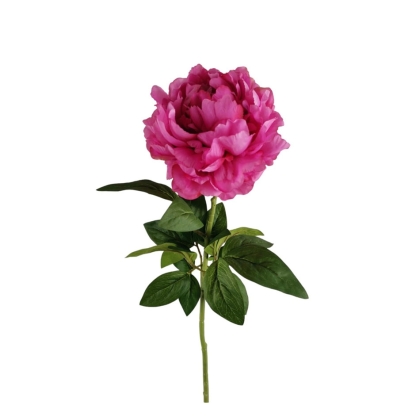 Immagini/shoppercenter_09666_fiore