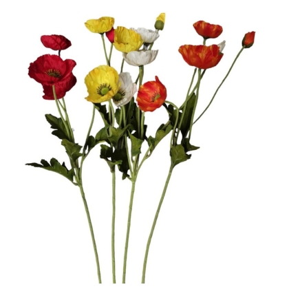 Immagini/shoppercenter_09670_fioreok