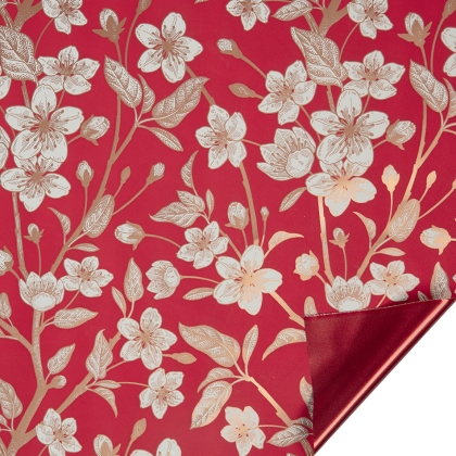 Immagini/shoppercenter_10057_rosso